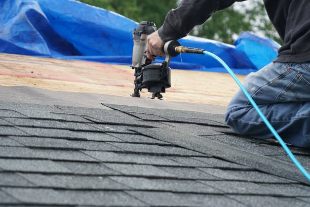 Best Affordable Roof Replacement  in Martin, TN