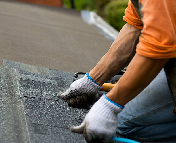 Best Roof Repair Services  in Martin, TN