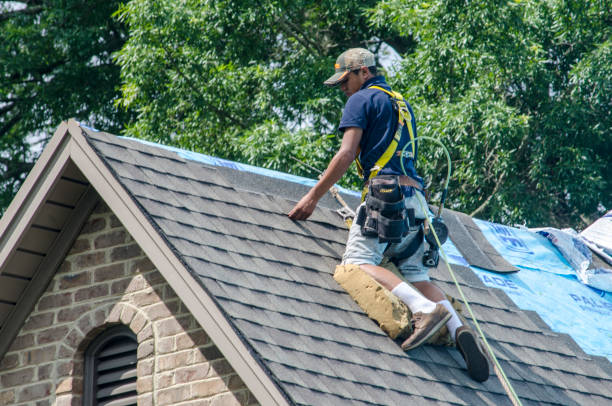 Best Gutter Installation and Roofing  in Martin, TN